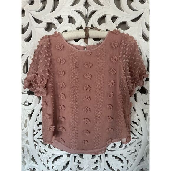 Mine Embellished Sheer Blouse - Picture 1 of 9